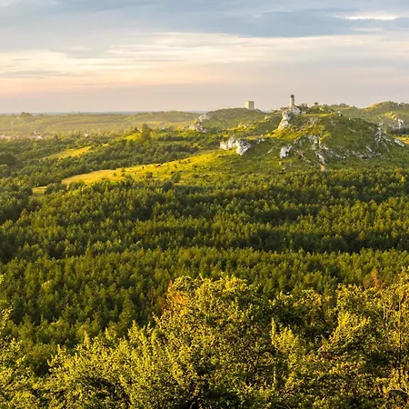 Jura Dom Www Sokolnica Pl Villa