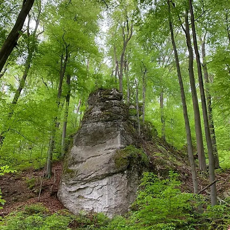 Вилла Jura Sokolnica *