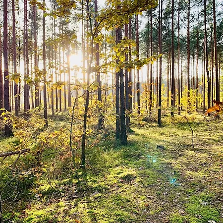 Jura Sokolnica