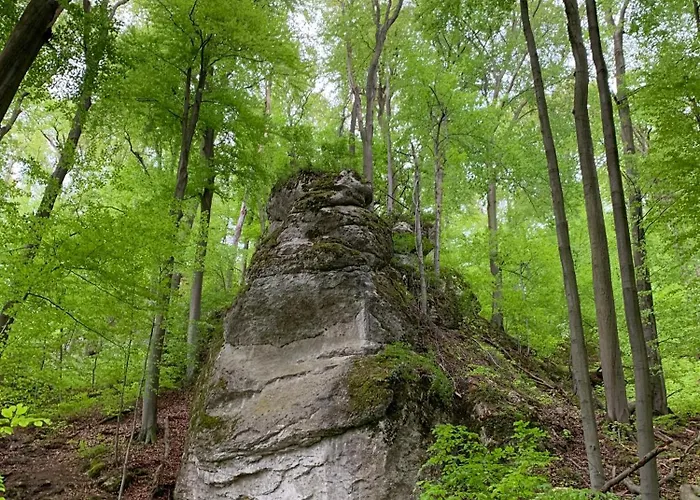 Villa Jura Dom Www Sokolnica Pl *