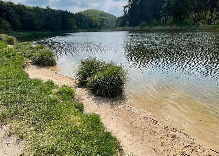 וילה Jura Dom Www Sokolnica Pl *