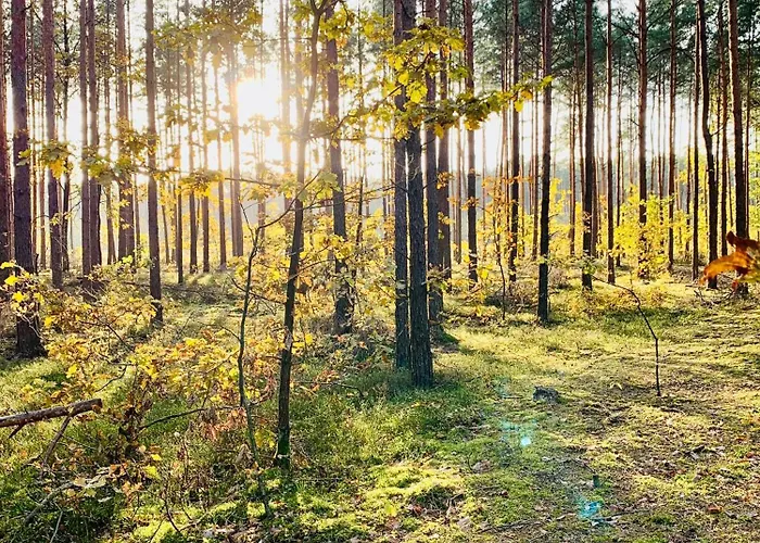 Jura Dom Www Sokolnica Pl