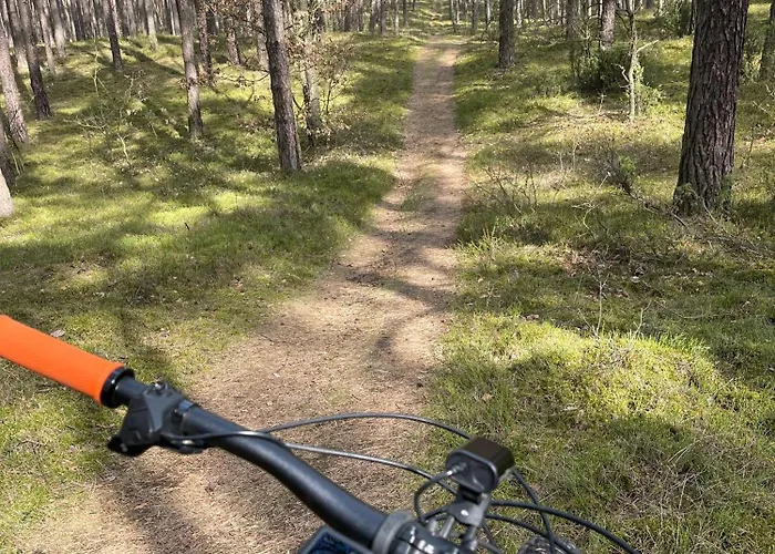 Jura Dom Www Sokolnica Pl Villa *